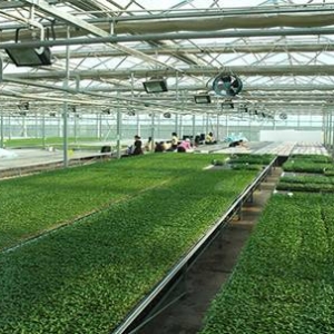 智慧农业温室大棚环境监控、智能大棚控制系统解决方案